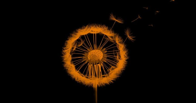 Marek Keprt: až smírně vcukernatíš v&nbsp;nevyvřelou blízkost / rules of translucent nights (world premiere)